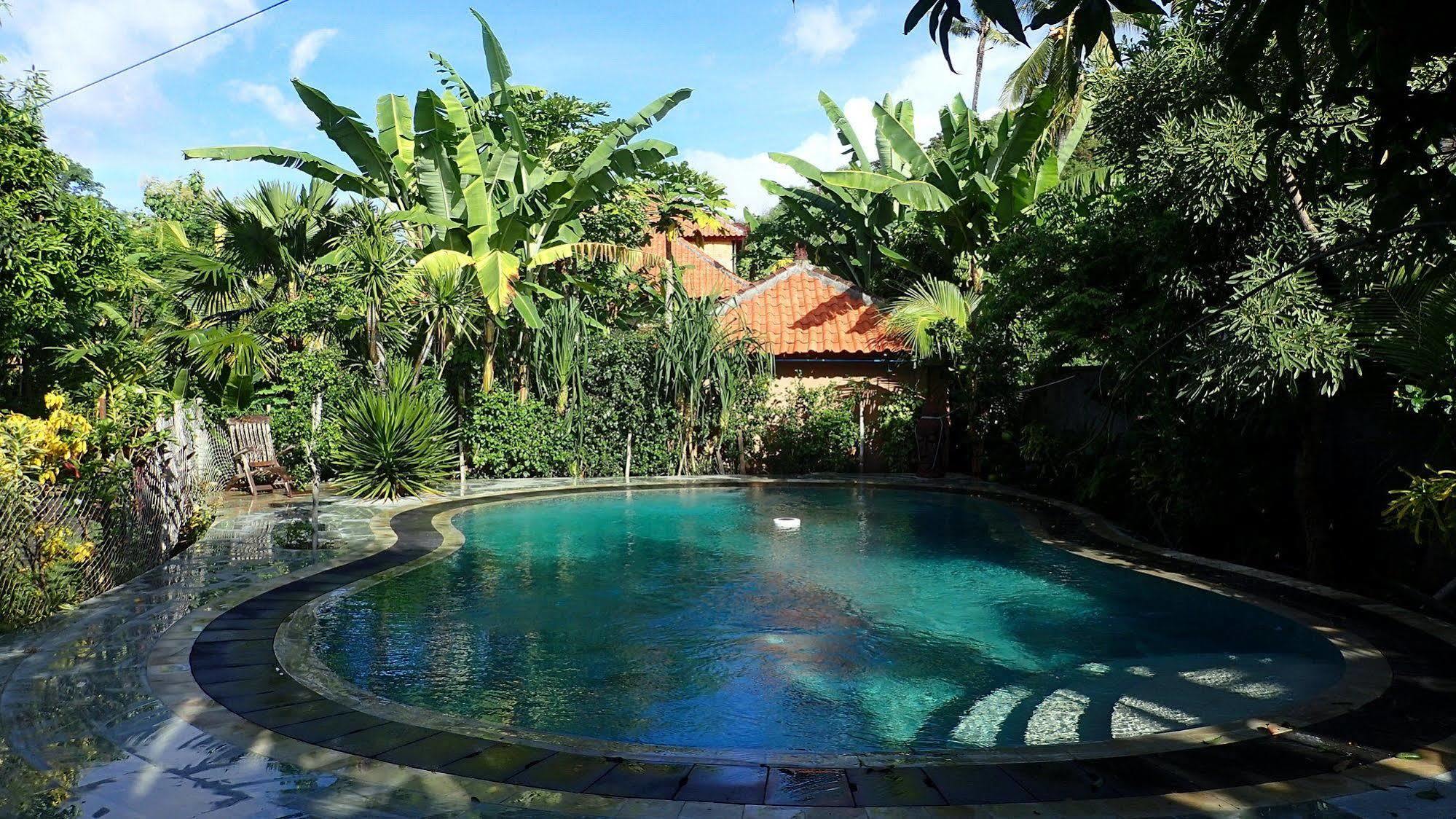 Hibiscus House Bali Hotell Pemuteran Exteriör bild